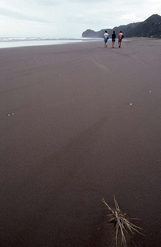 WT 0200 010-20 New Zealand.jpg